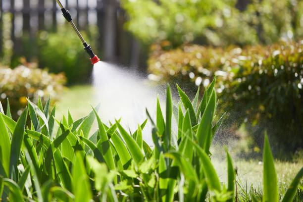 24/7 Emergency Ant Control experts in Asheboro, NC