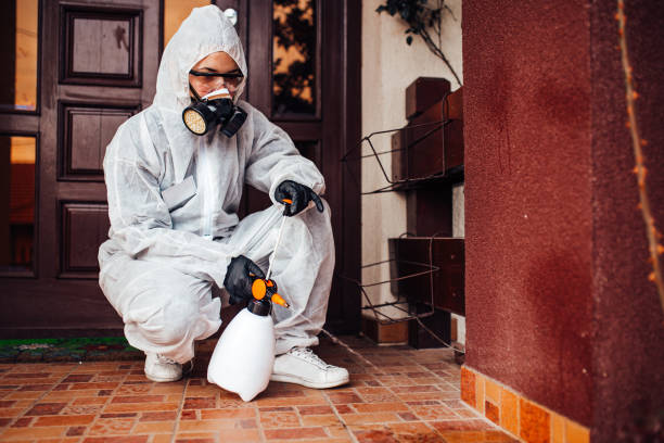 Reliable Ant Control contractor in Asheboro, NC by Show Me Pest Control
