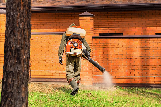 Top rated local Ant Control specialists in Asheboro, NC